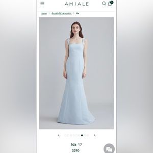 **CHAMPAGNE** Not Blue__(NWT) Amsale “ Ida “ Bridesmaid Dress—* Never worn*